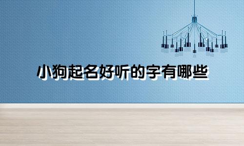 小狗起名好听的字有哪些