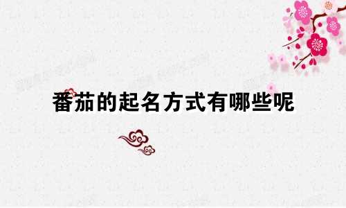 番茄的起名方式有哪些呢
