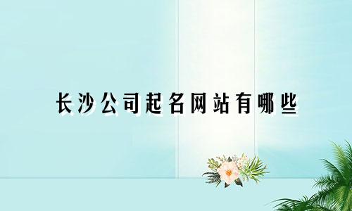 长沙公司起名网站有哪些