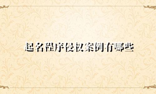 起名程序侵权案例有哪些