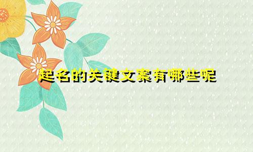 起名的关键文案有哪些呢