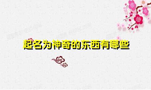 起名为神奇的东西有哪些