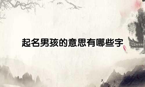 起名男孩的意思有哪些字