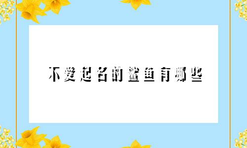 不爱起名的鲨鱼有哪些