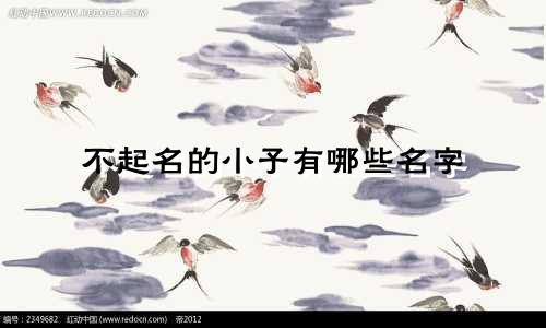 不起名的小子有哪些名字