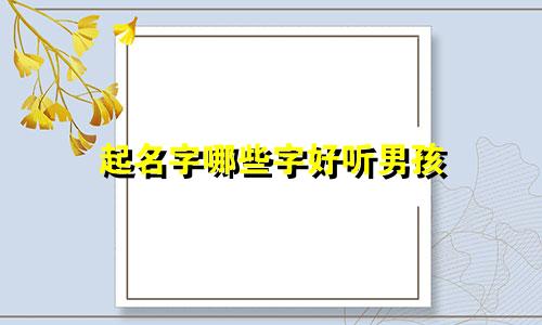 起名字哪些字好听男孩