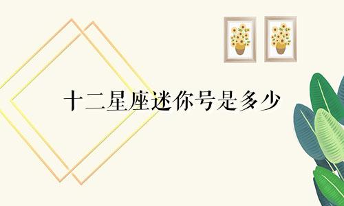 十二星座迷你号是多少