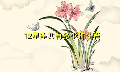12星座共有多少种生肖