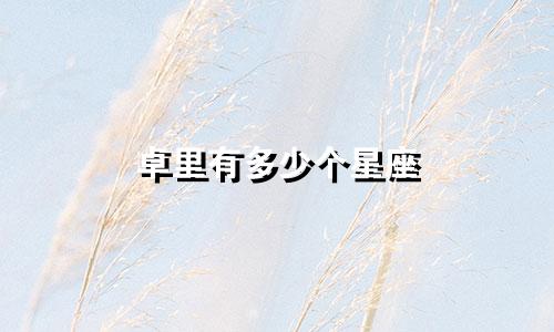 卓里有多少个星座