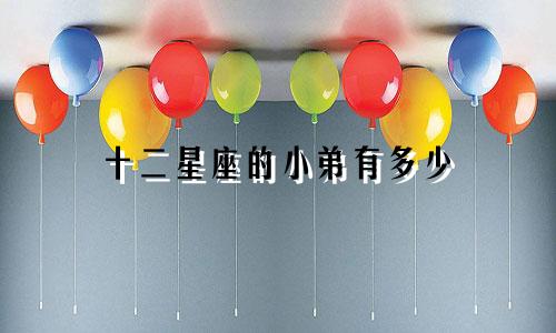 十二星座的小弟有多少