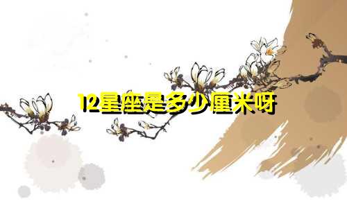 12星座是多少厘米呀