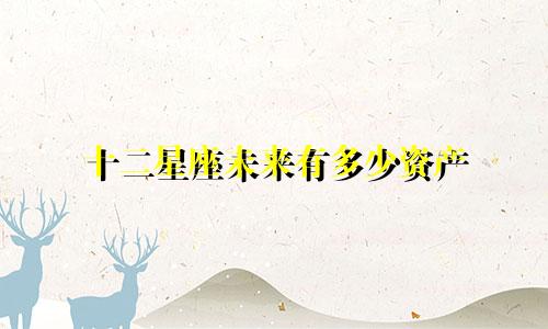 十二星座未来有多少资产