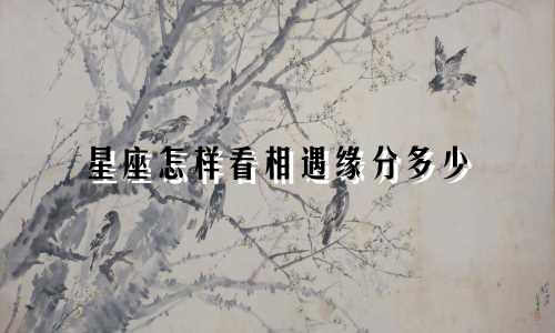 星座怎样看相遇缘分多少