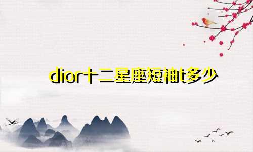 dior十二星座短袖t多少
