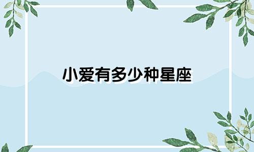 小爱有多少种星座