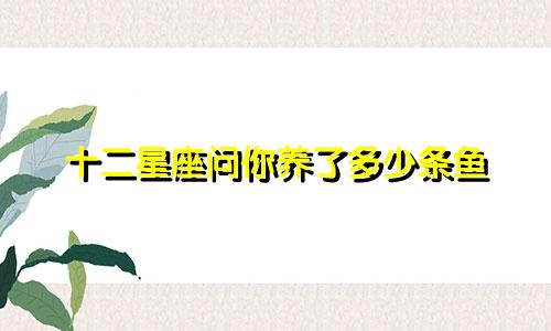 十二星座问你养了多少条鱼