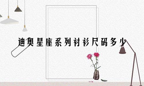 迪奥星座系列衬衫尺码多少