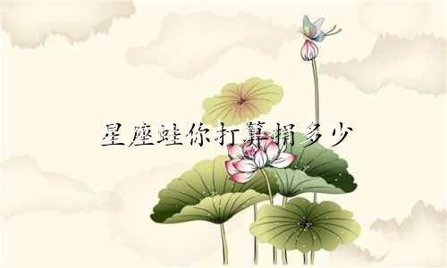 星座蛙你打算捐多少