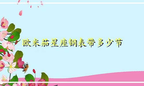 欧米茄星座钢表带多少节