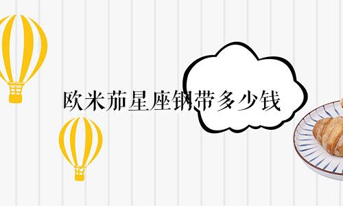 欧米茄星座钢带多少钱