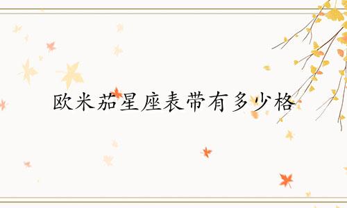 欧米茄星座表带有多少格
