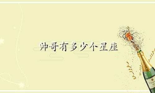 帅哥有多少个星座