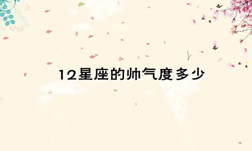 12星座的帅气度多少