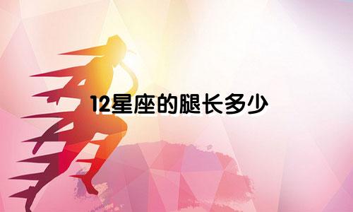 12星座的腿长多少