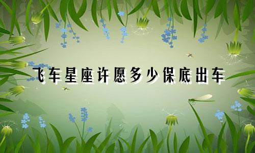 飞车星座许愿多少保底出车