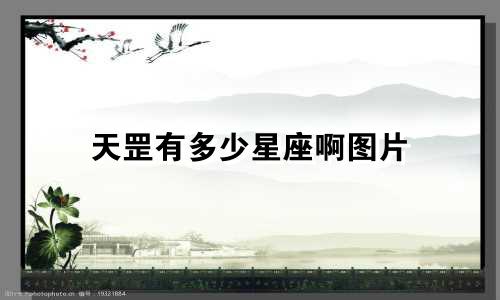 天罡有多少星座啊图片