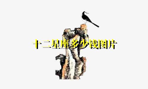 十二星座多少钱图片