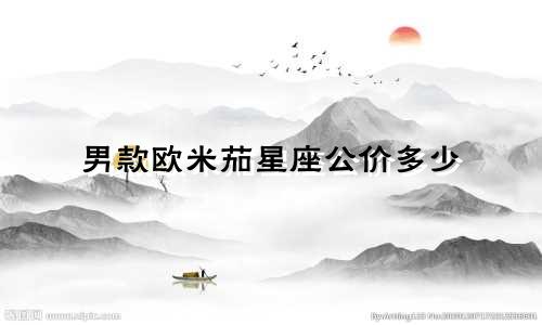 男款欧米茄星座公价多少