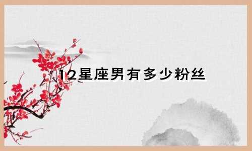 12星座男有多少粉丝