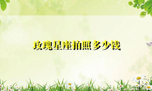 玫瑰星座拍照多少钱