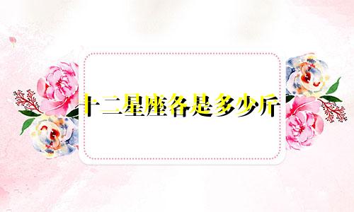 十二星座各是多少斤