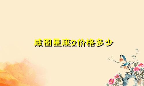 威图星座2价格多少