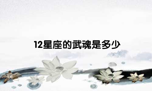 12星座的武魂是多少