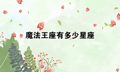 魔法王座有多少星座