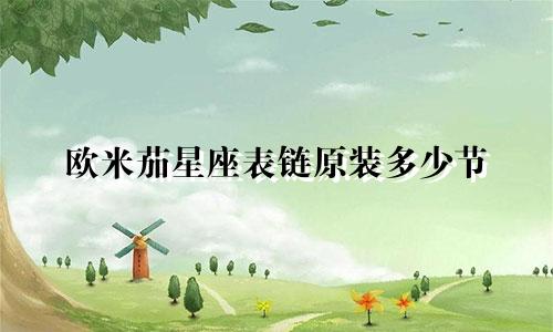 欧米茄星座表链原装多少节