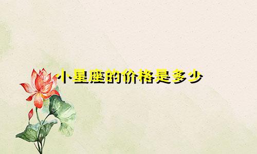 小星座的价格是多少
