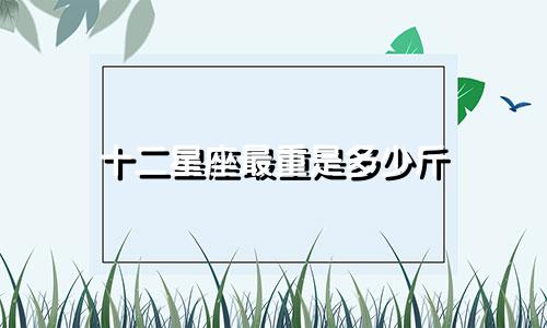 十二星座最重是多少斤