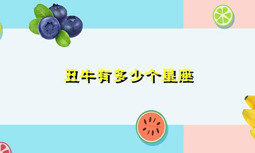 丑牛有多少个星座