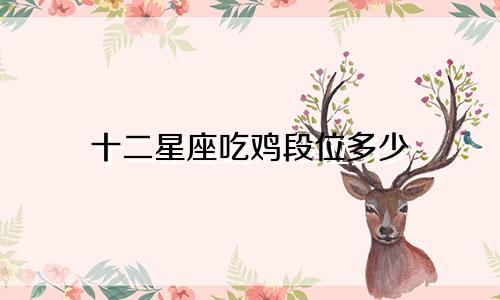 十二星座吃鸡段位多少