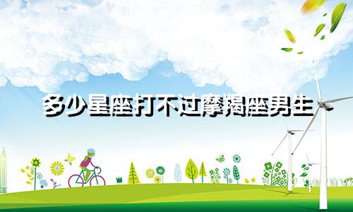 多少星座打不过摩羯座男生