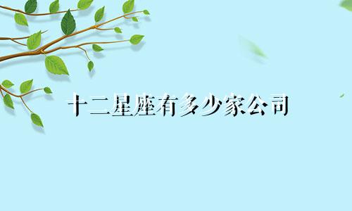 十二星座有多少家公司