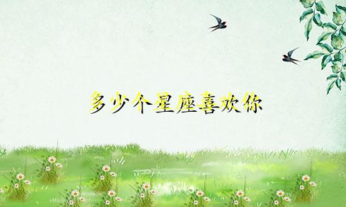 多少个星座喜欢你