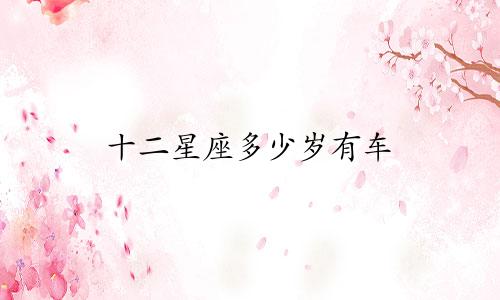 十二星座多少岁有车