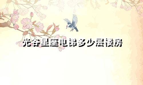光谷星座电梯多少层楼房