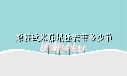 原装欧米茄星座表带多少节