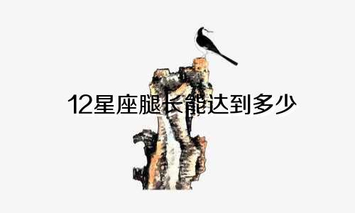 12星座腿长能达到多少